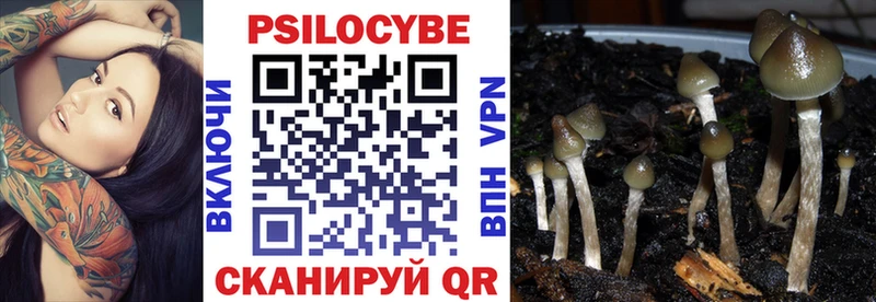 Купить закладки  Щигры  Галлюциногенные грибы GOLDEN TEACHER 